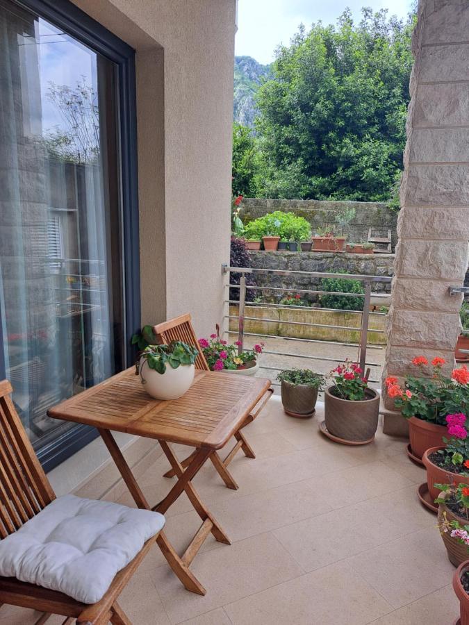 Apartment Benvenuti Kotor Zewnętrze zdjęcie