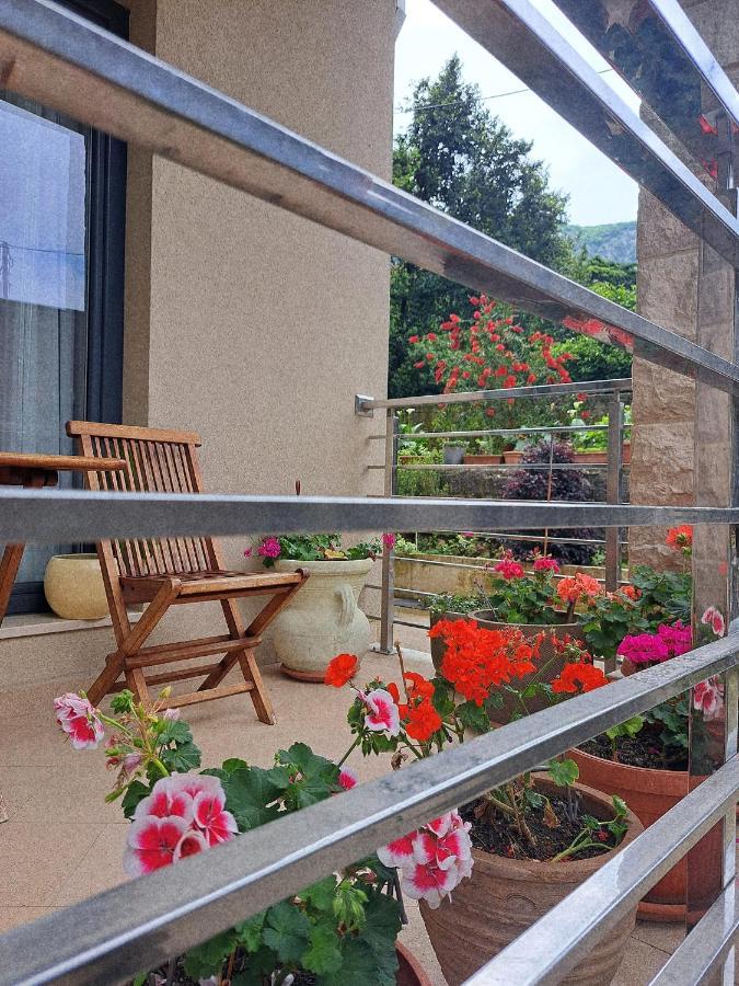 Apartment Benvenuti Kotor Zewnętrze zdjęcie