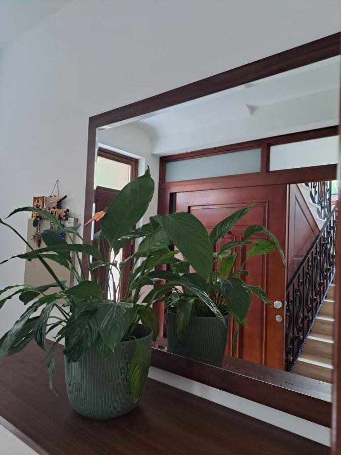 Apartment Benvenuti Kotor Zewnętrze zdjęcie