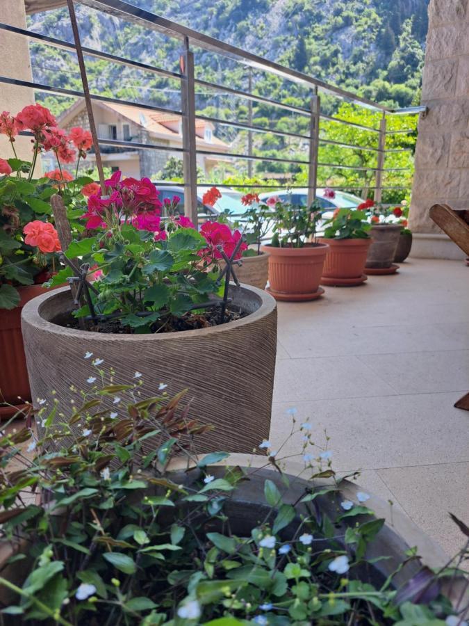 Apartment Benvenuti Kotor Zewnętrze zdjęcie