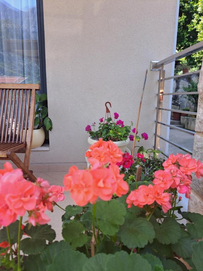 Apartment Benvenuti Kotor Zewnętrze zdjęcie