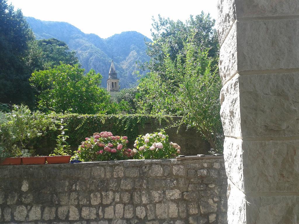 Apartment Benvenuti Kotor Zewnętrze zdjęcie